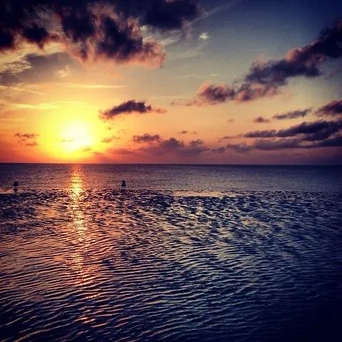 度假居 Villa 210 At Resorts World Bimini Bayley Town 巴哈马
